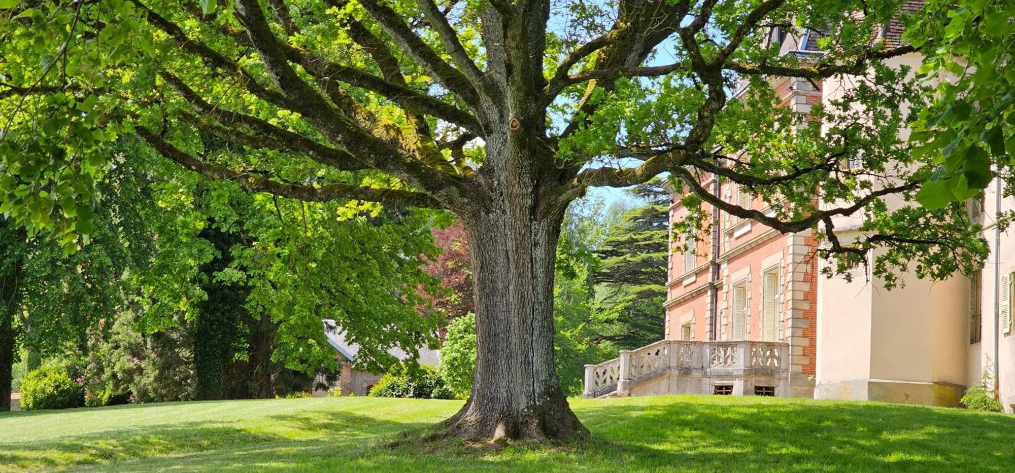 Château de Montpatey Acomodação com café da manhã Couches Exterior foto